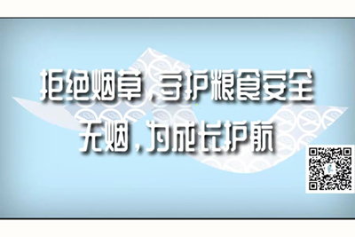 透逼污到下面流水的文章拒绝烟草，守护粮食安全